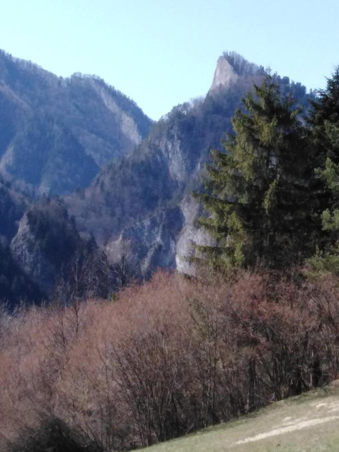 Chata Holica Pieniny Lesnica ภายนอก รูปภาพ