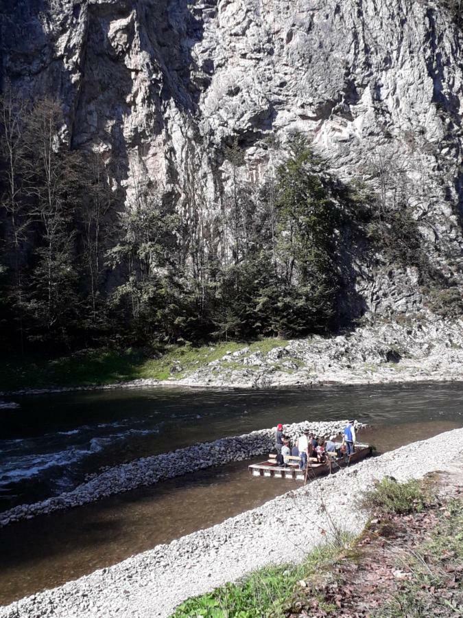 Chata Holica Pieniny Lesnica ภายนอก รูปภาพ
