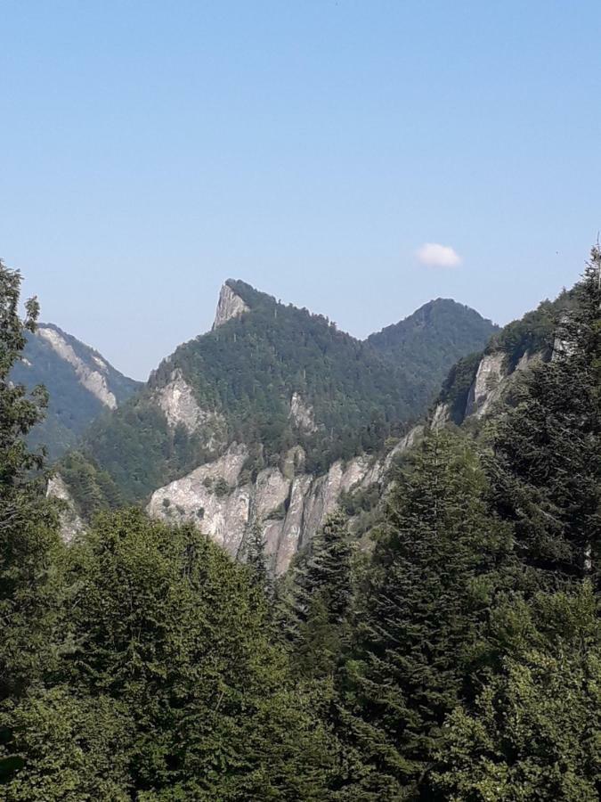 Chata Holica Pieniny Lesnica ภายนอก รูปภาพ