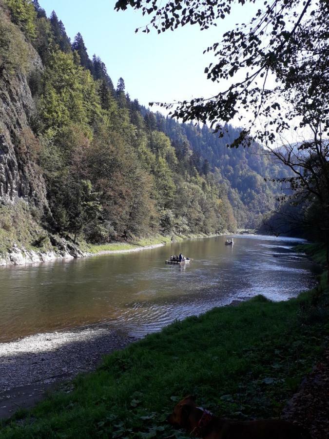 Chata Holica Pieniny Lesnica ภายนอก รูปภาพ