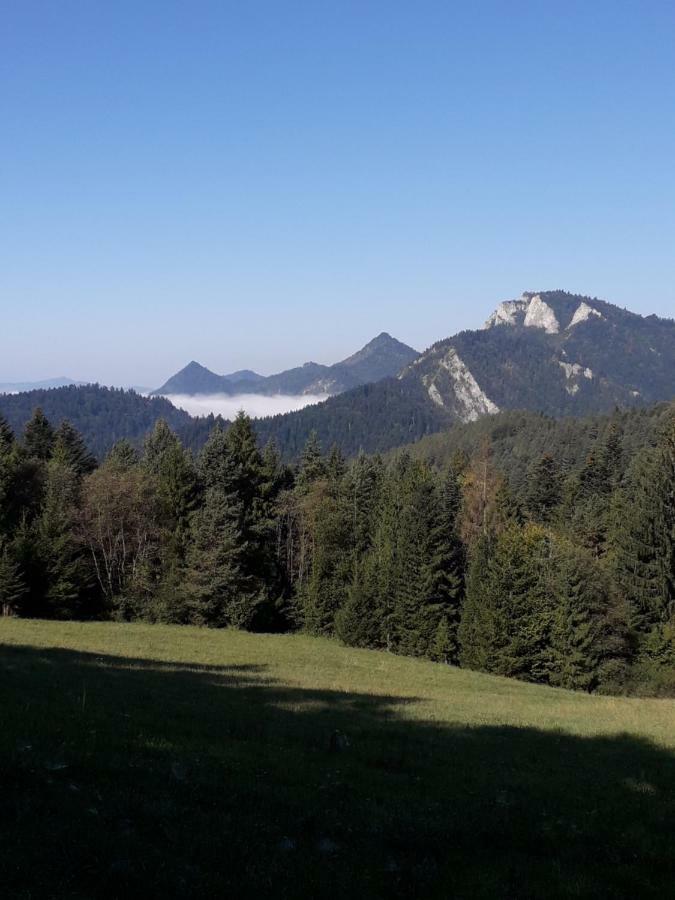 Chata Holica Pieniny Lesnica ภายนอก รูปภาพ