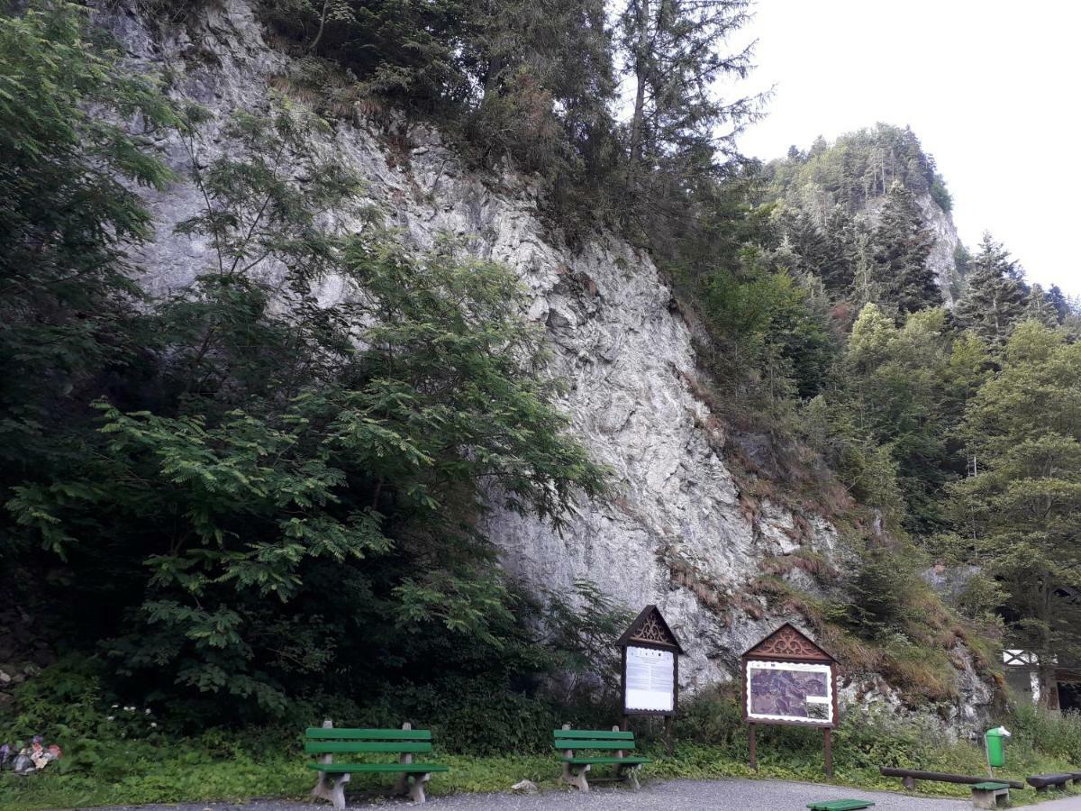 Chata Holica Pieniny Lesnica ภายนอก รูปภาพ