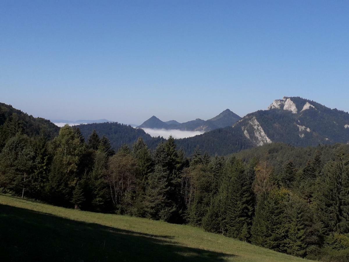 Chata Holica Pieniny Lesnica ภายนอก รูปภาพ