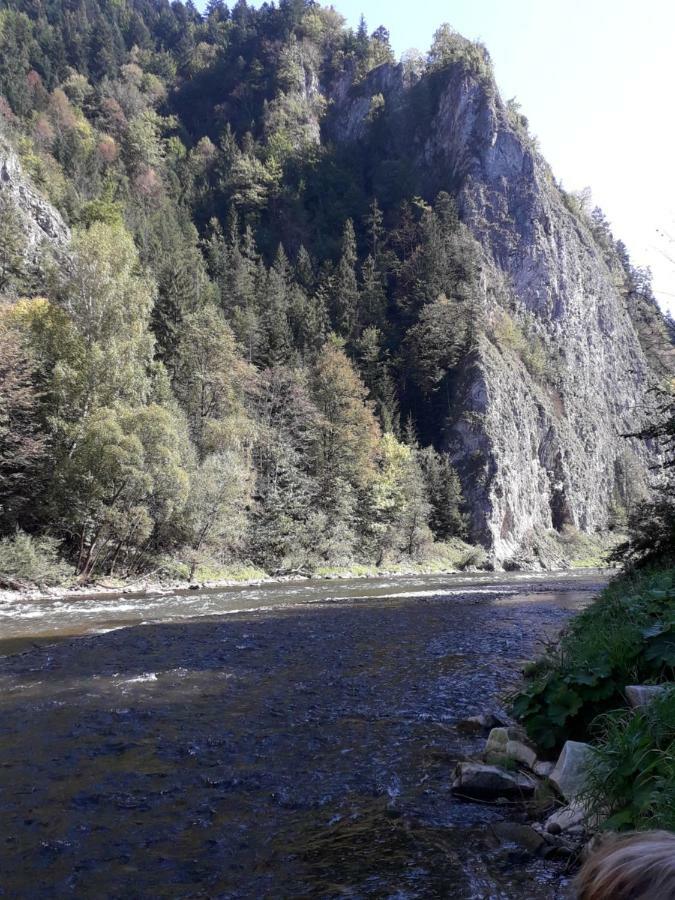 Chata Holica Pieniny Lesnica ภายนอก รูปภาพ