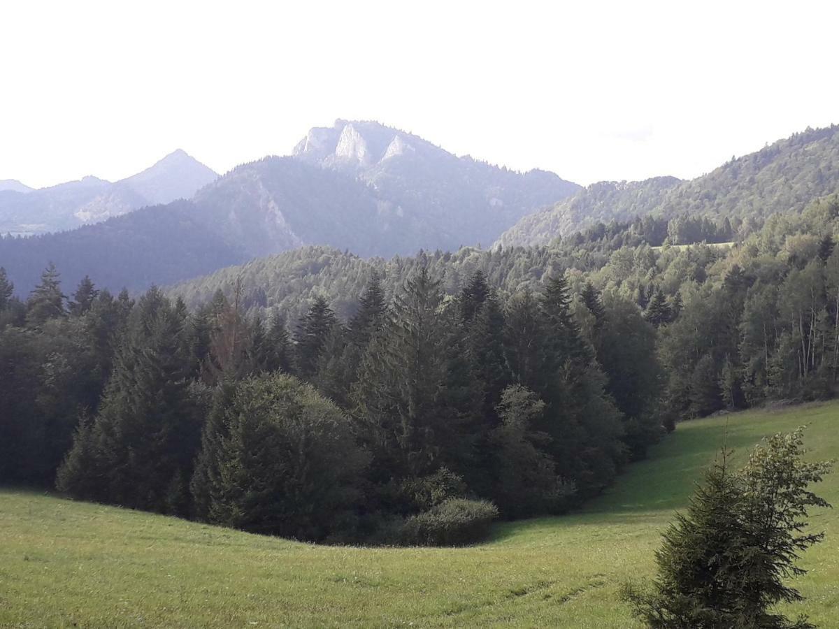 Chata Holica Pieniny Lesnica ภายนอก รูปภาพ